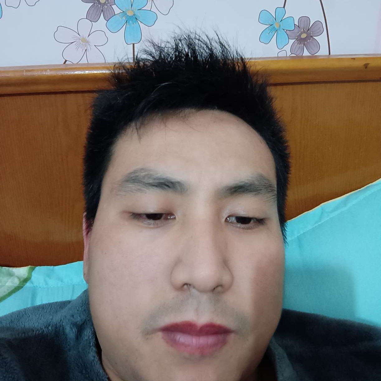 美好請猎豹的照片