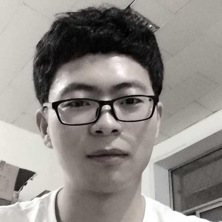 龙猫初见的照片