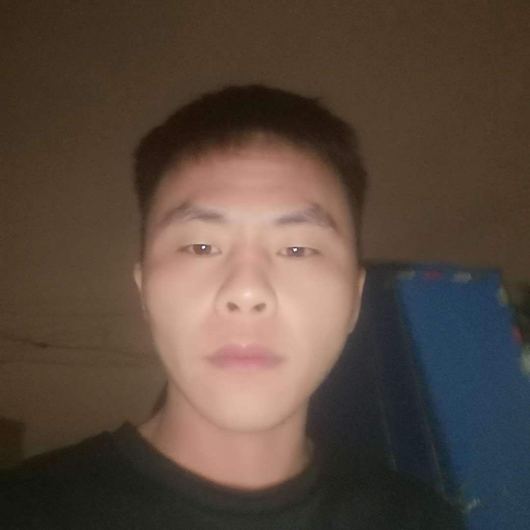 不安那大雁的照片