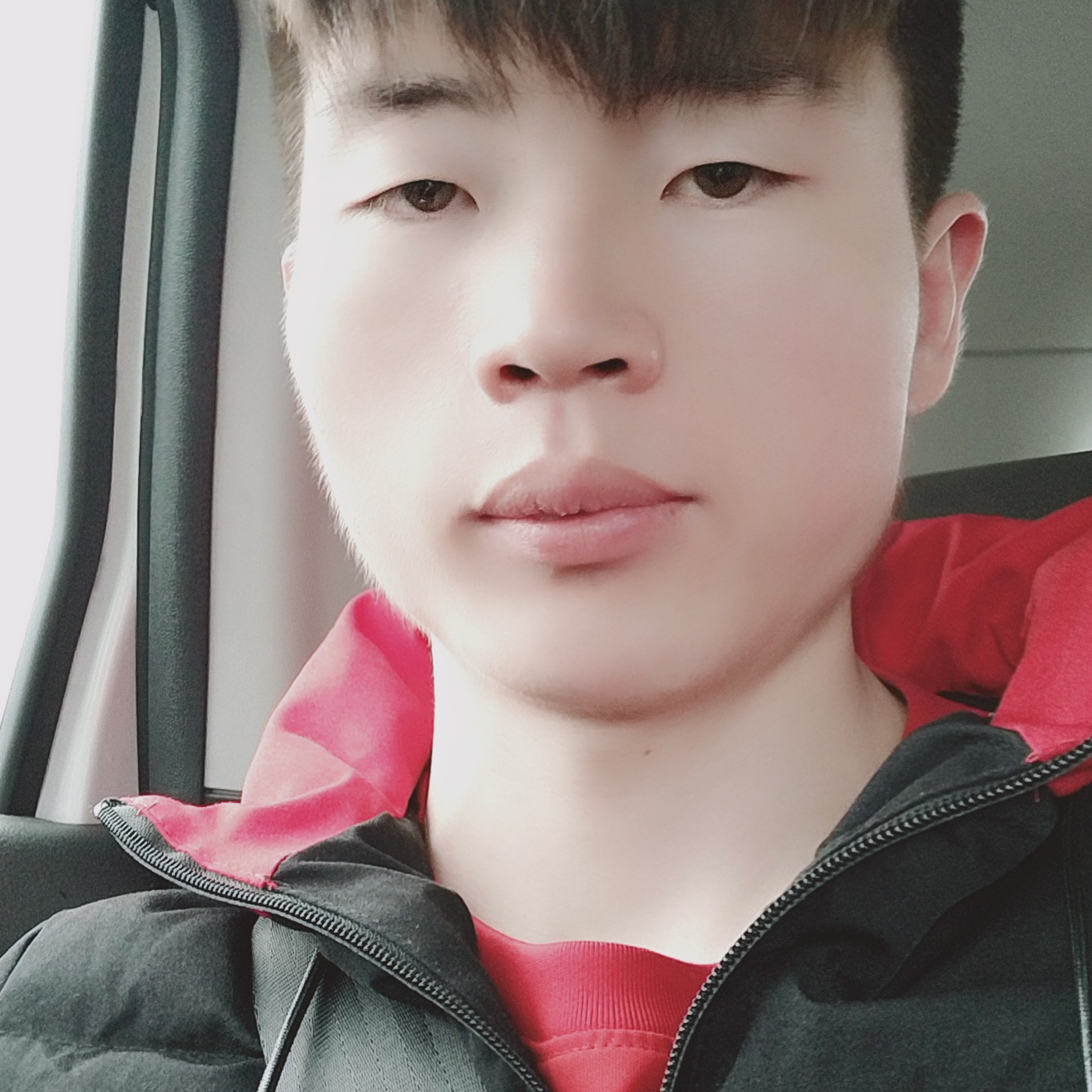 永恒挚爱的照片