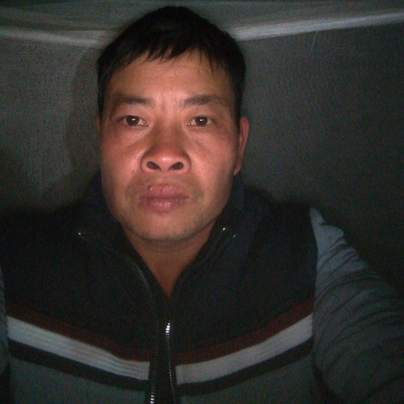 辛勤金鱼的照片
