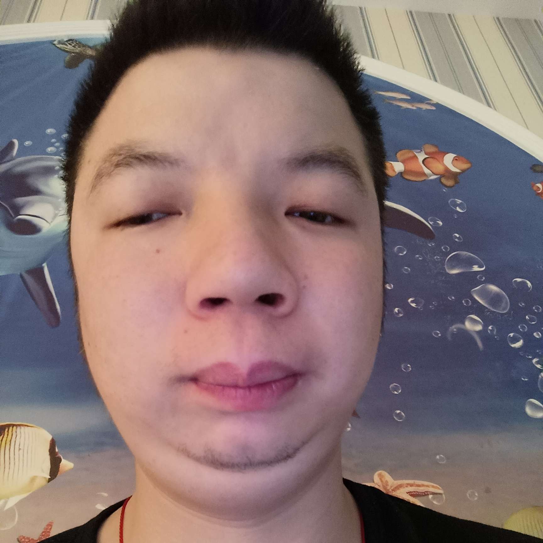 专注相许毛豆的照片