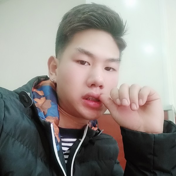 会功夫的熊的照片