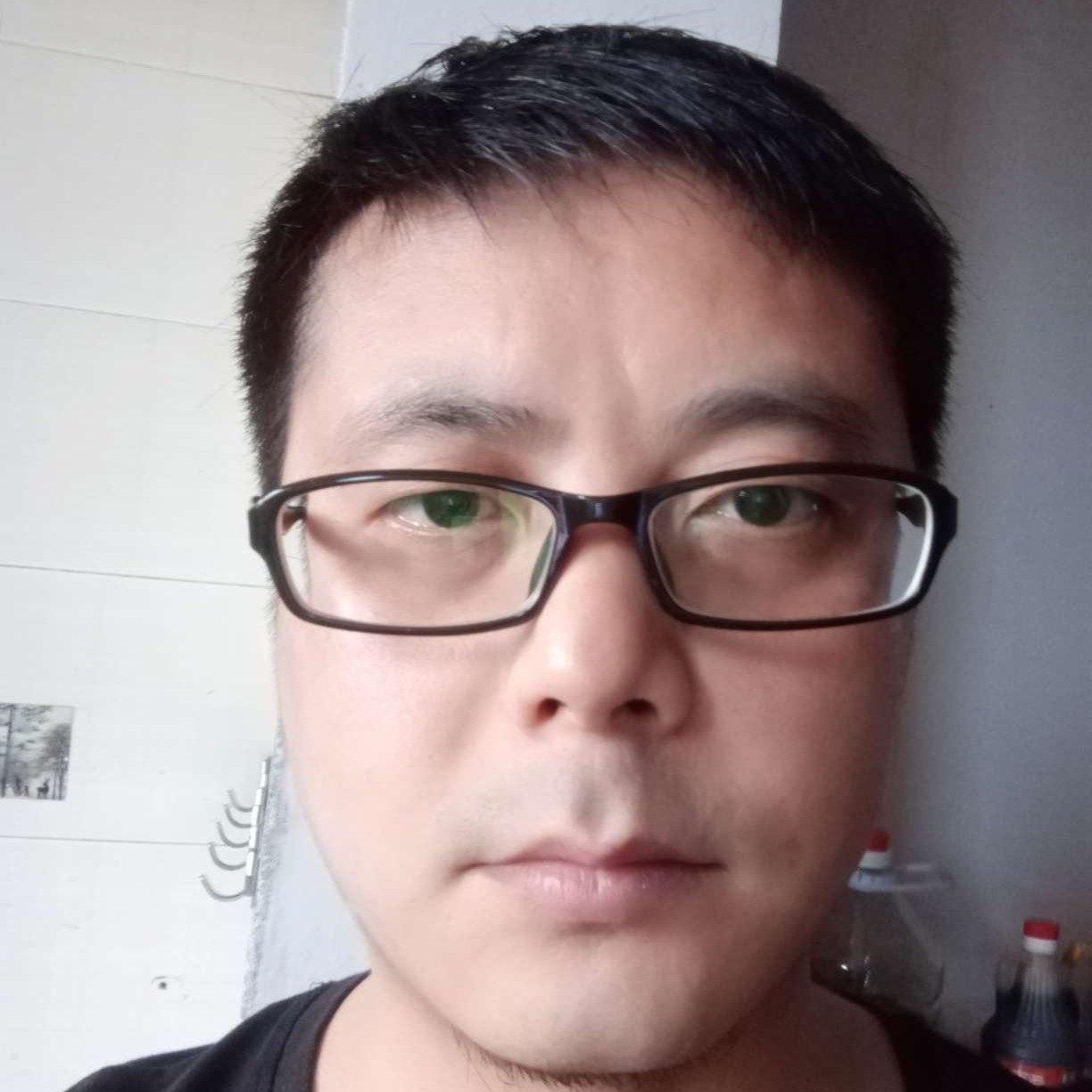 秋天的枫树的照片