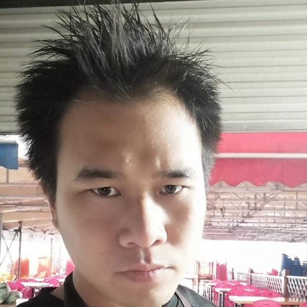 汽车放弃笨笨的照片