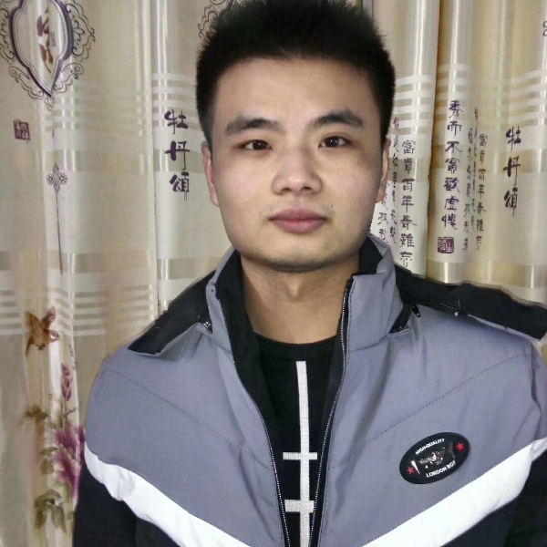 黄蜂诚心的照片