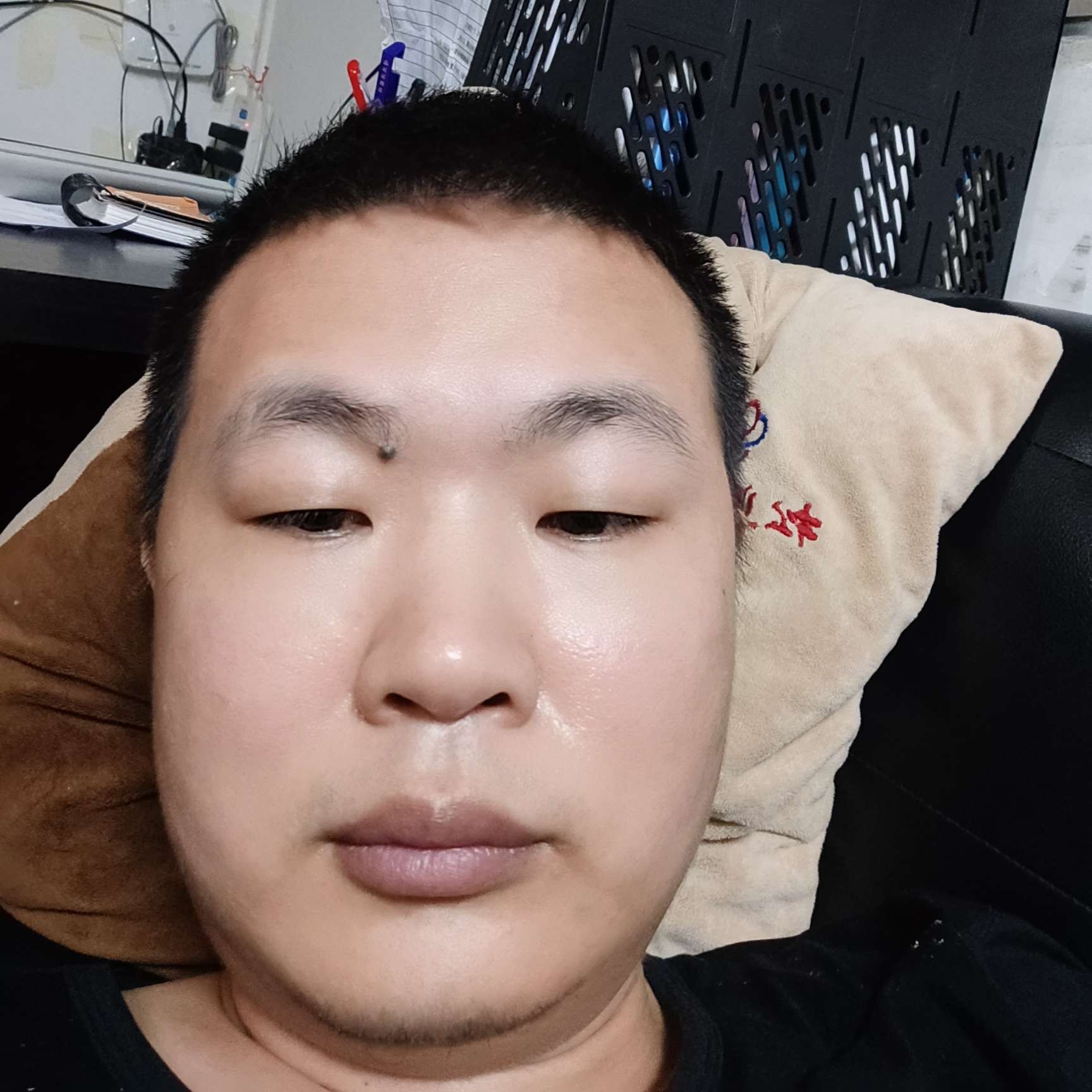 鼠标苦恋执着的照片