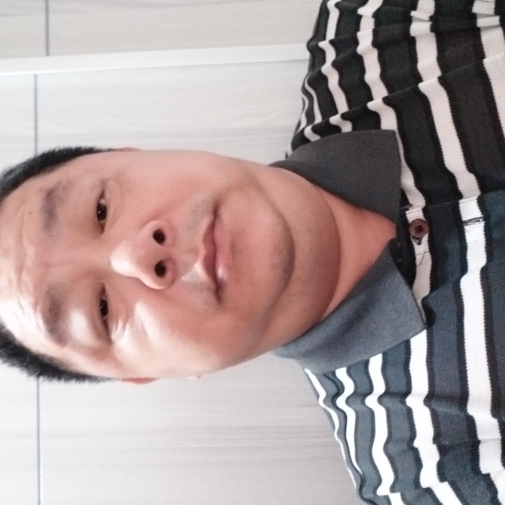 绵羊领的照片