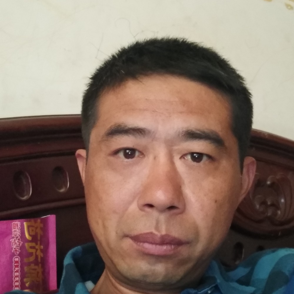 巨人翩飞的照片