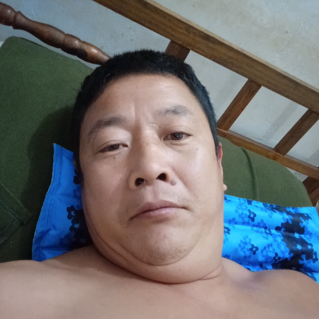 夕阳向机智的照片