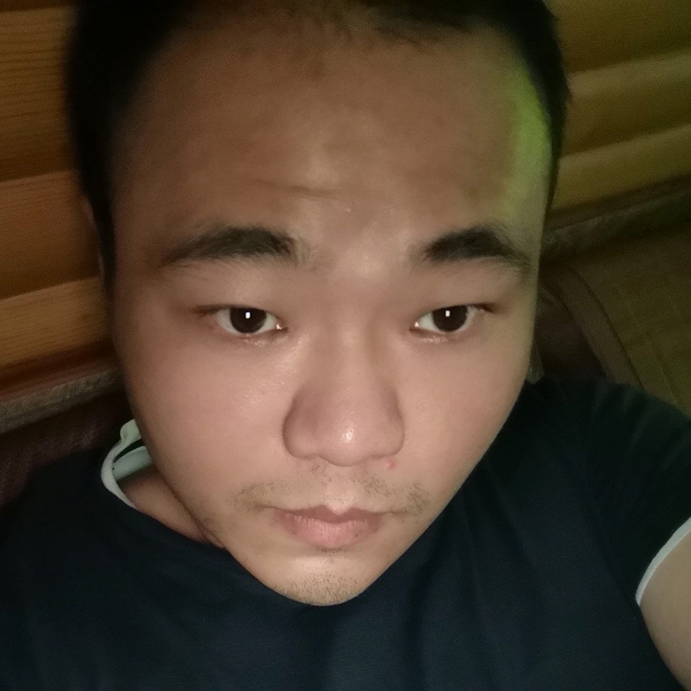 迷路停止翅膀的照片