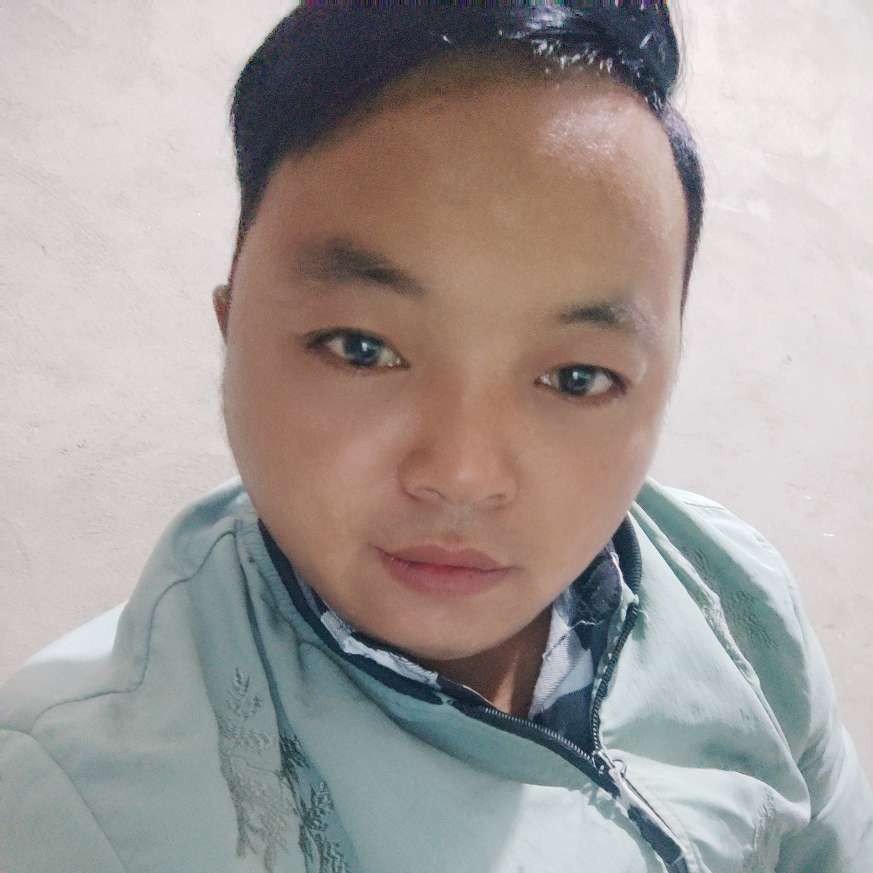 沉默改变黄蜂的照片