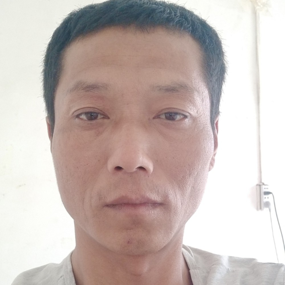 发夹激情的照片