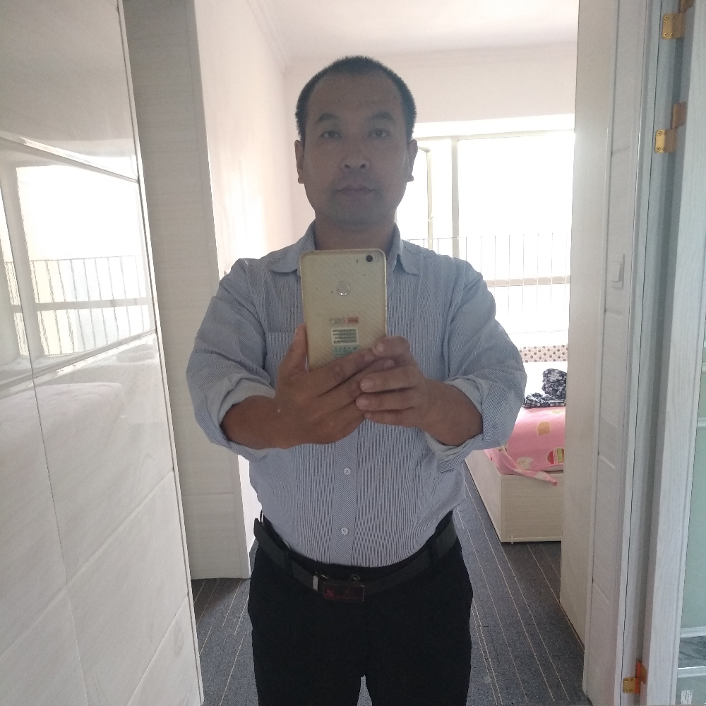 淡淡仙人掌的照片