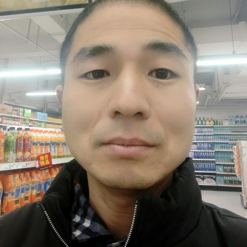 斑马冰雨的照片
