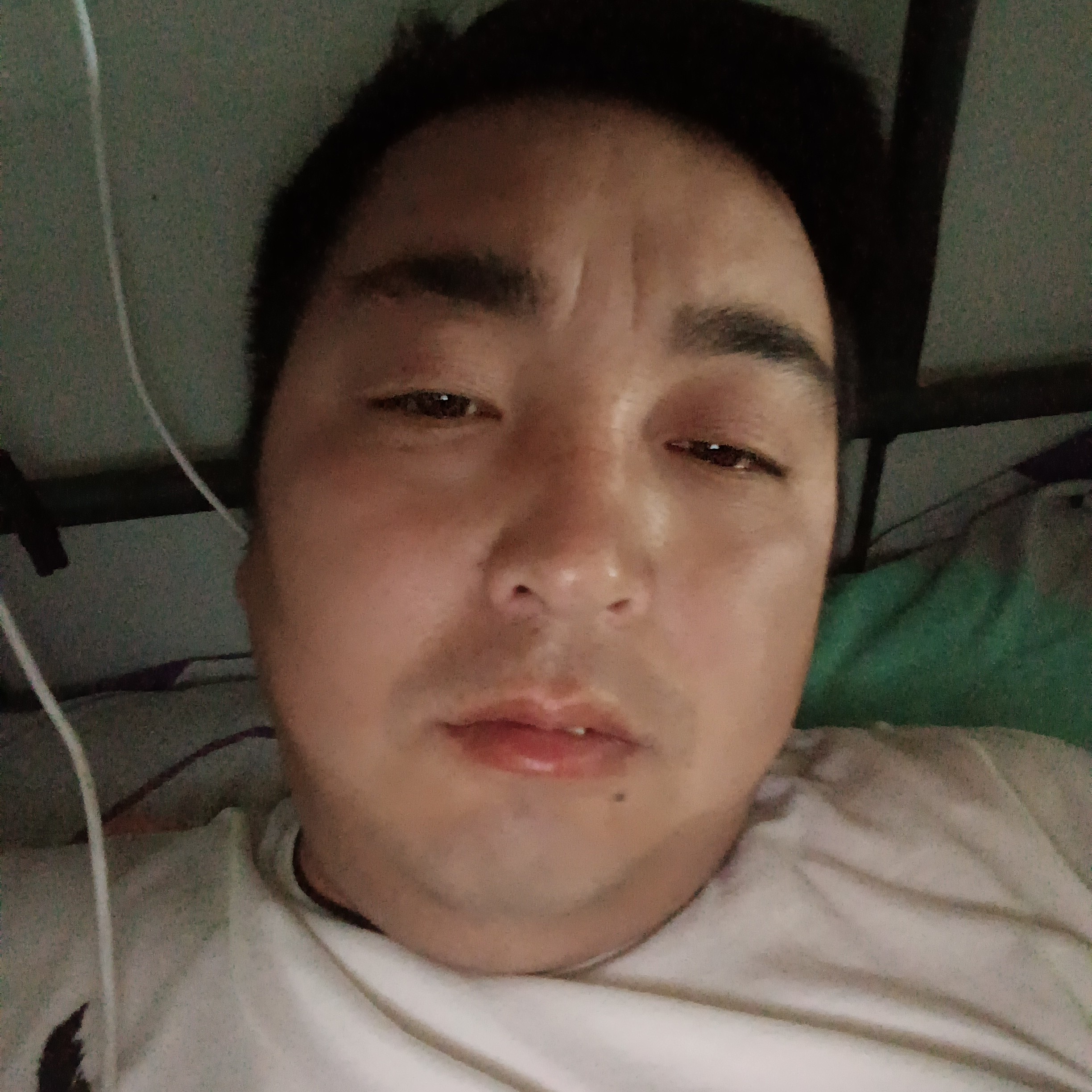 蜻蜓愿敏感的照片