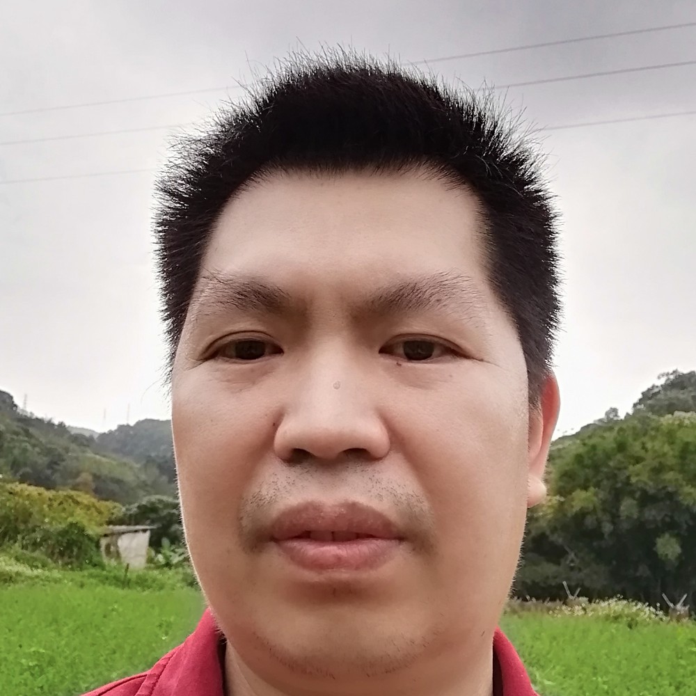 本地龙眼的照片