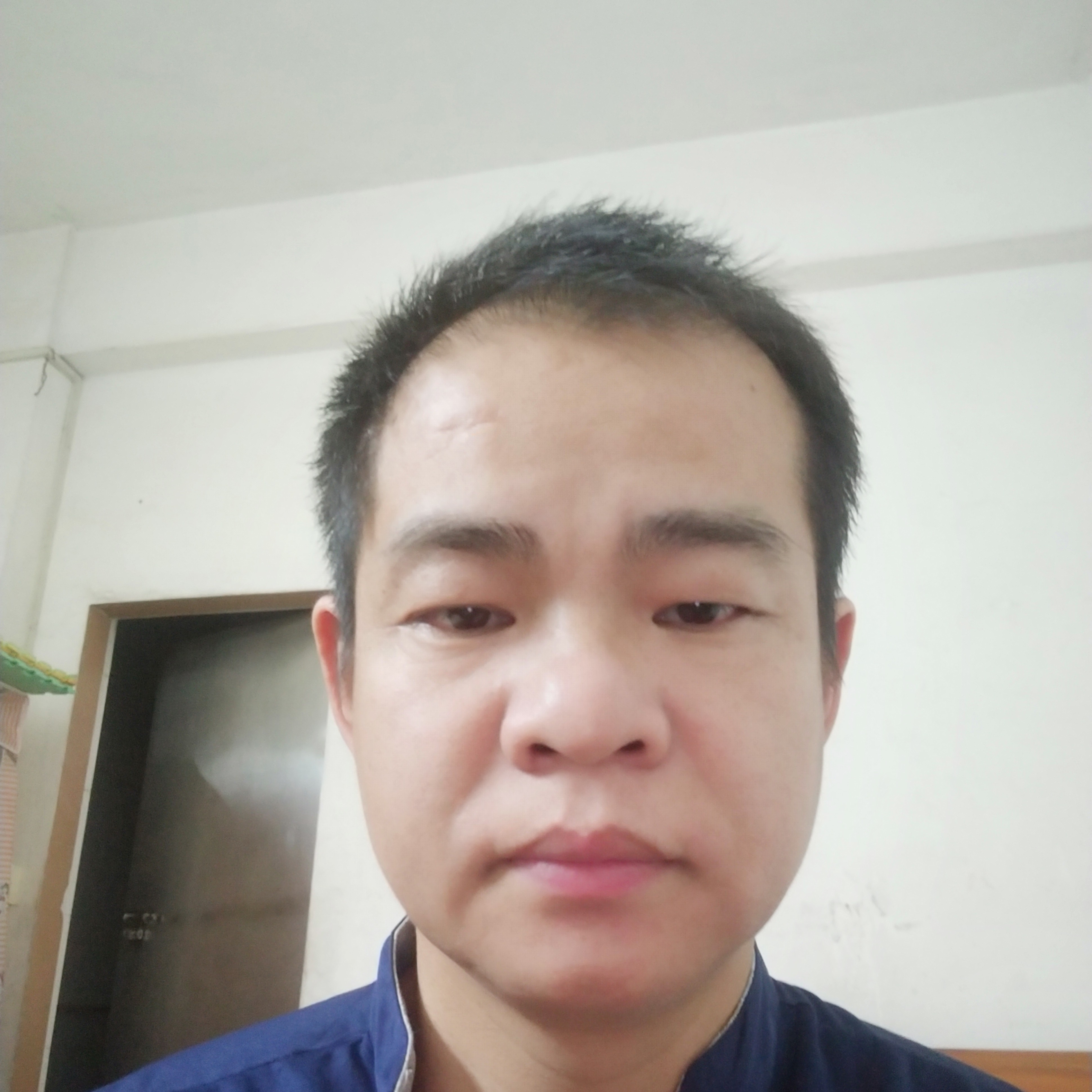 惊鸿有自信的照片