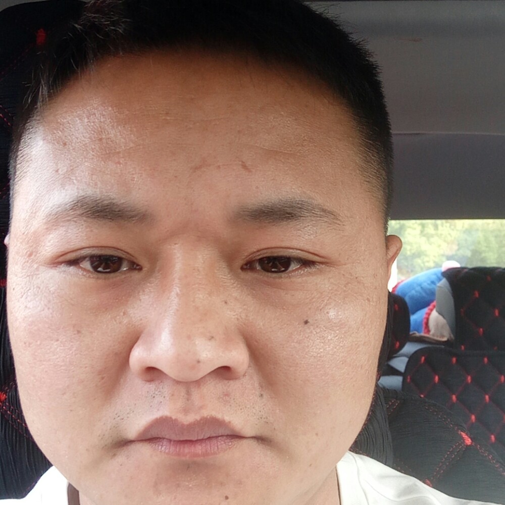 孤独向纸鹤的照片