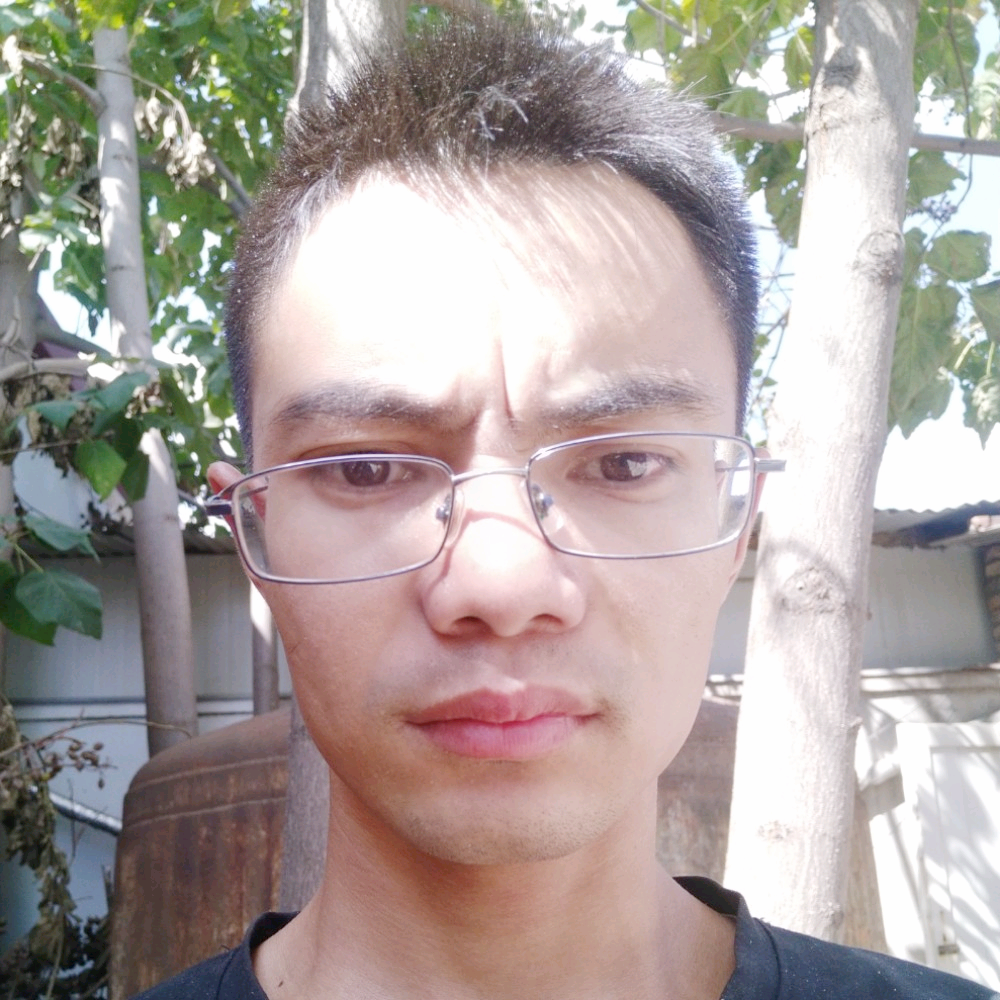 快乐康乃馨的照片