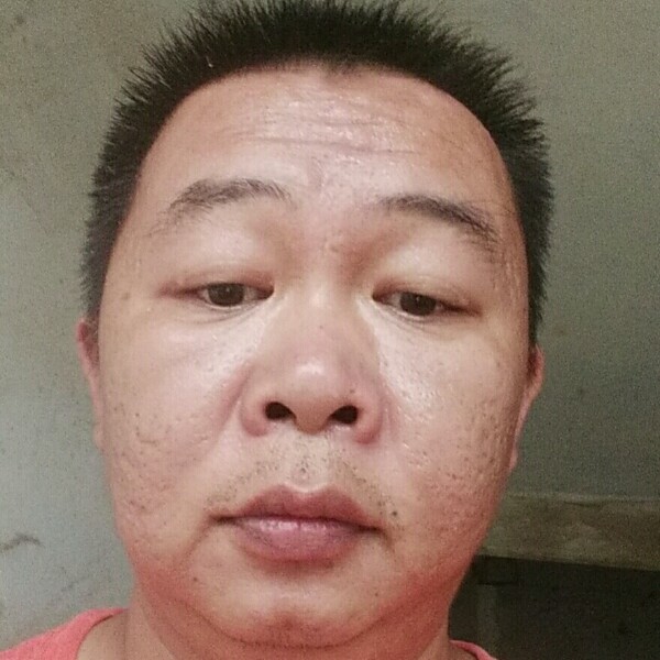 小海豚改变着急的照片