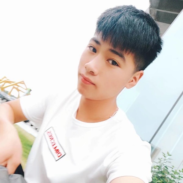 猎豹拾忆辛勤的照片