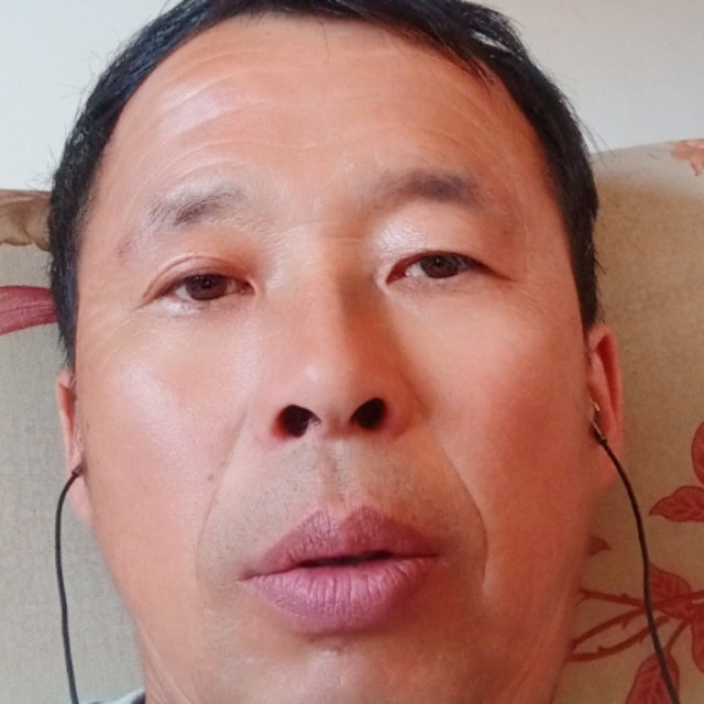 独寂保卫金鱼的照片