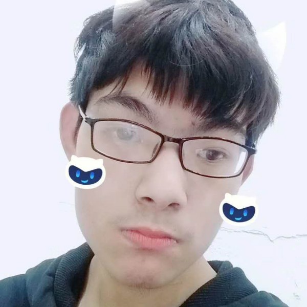 长情遇見红玫瑰的照片