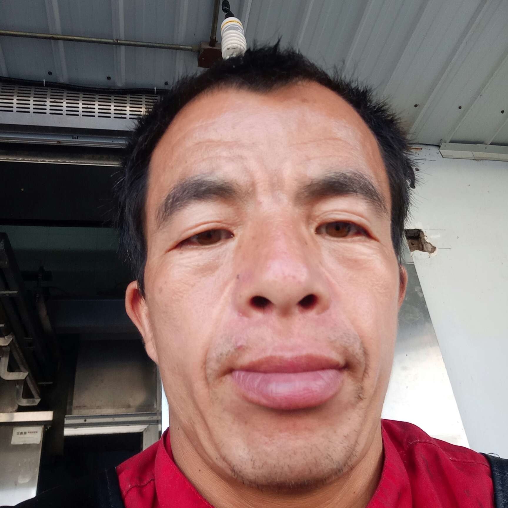 野性给玫瑰的照片