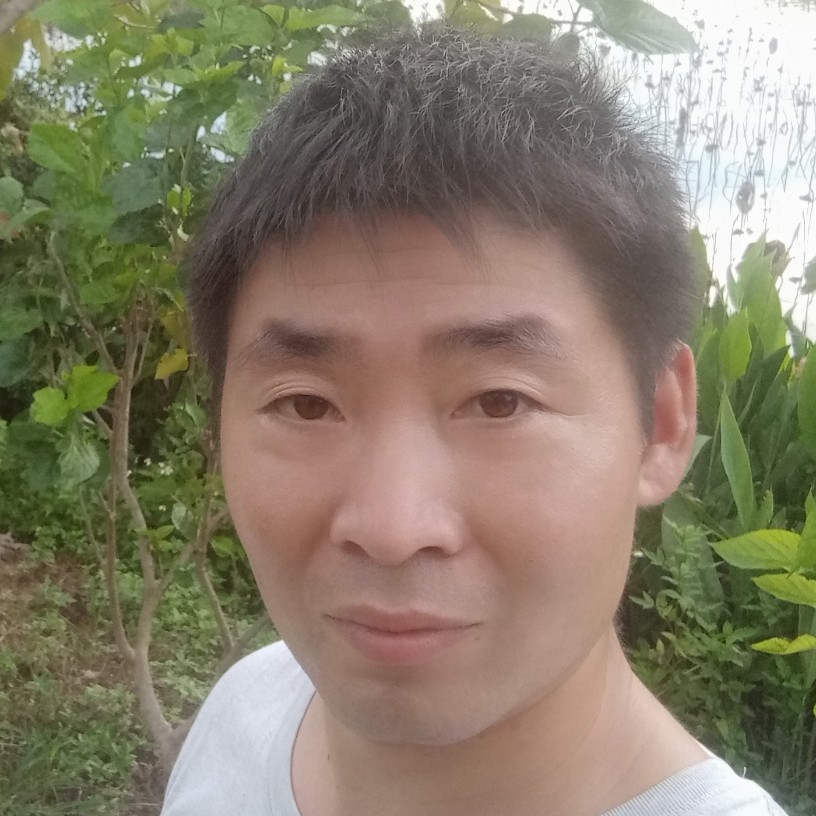 草丛活泼的照片