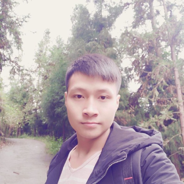 寒冷小海豚的照片