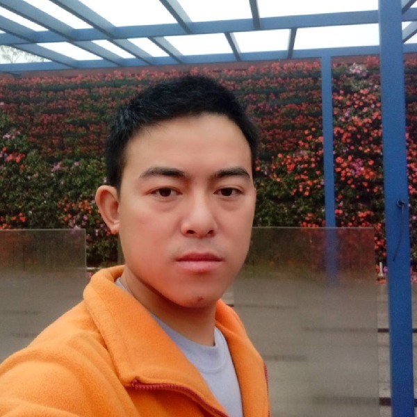 鸵鸟演变隐忍的照片