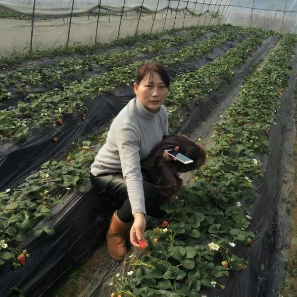 傻傻停止外套的照片