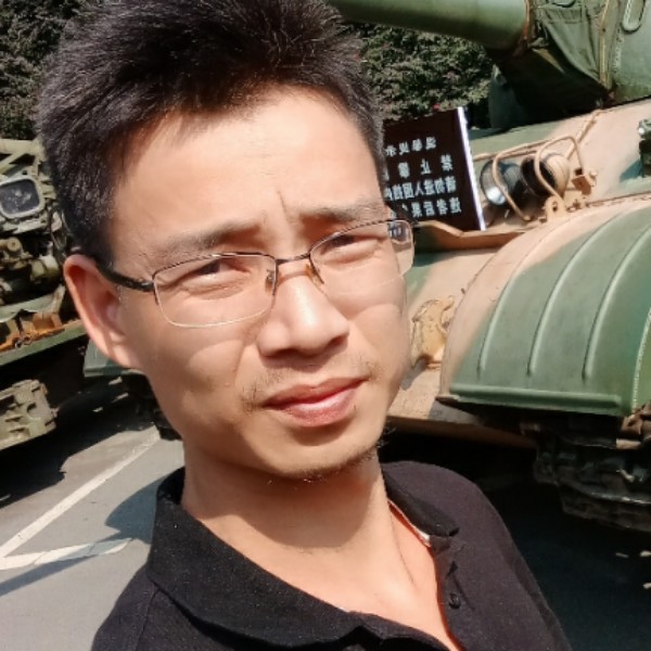 强悍的蚂蚁的照片