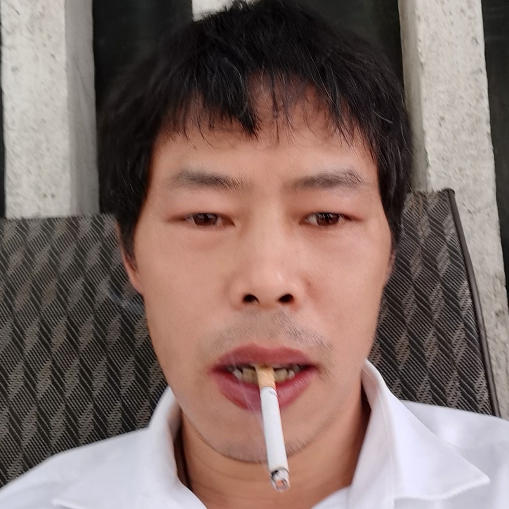 万木丛林的照片