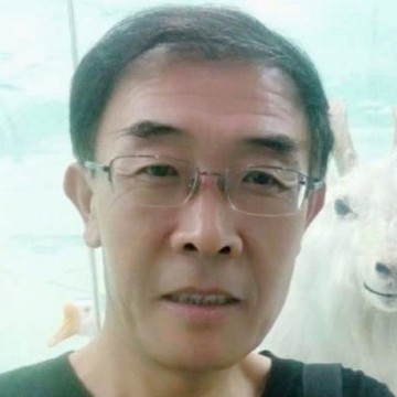矮小苦恋发箍的照片