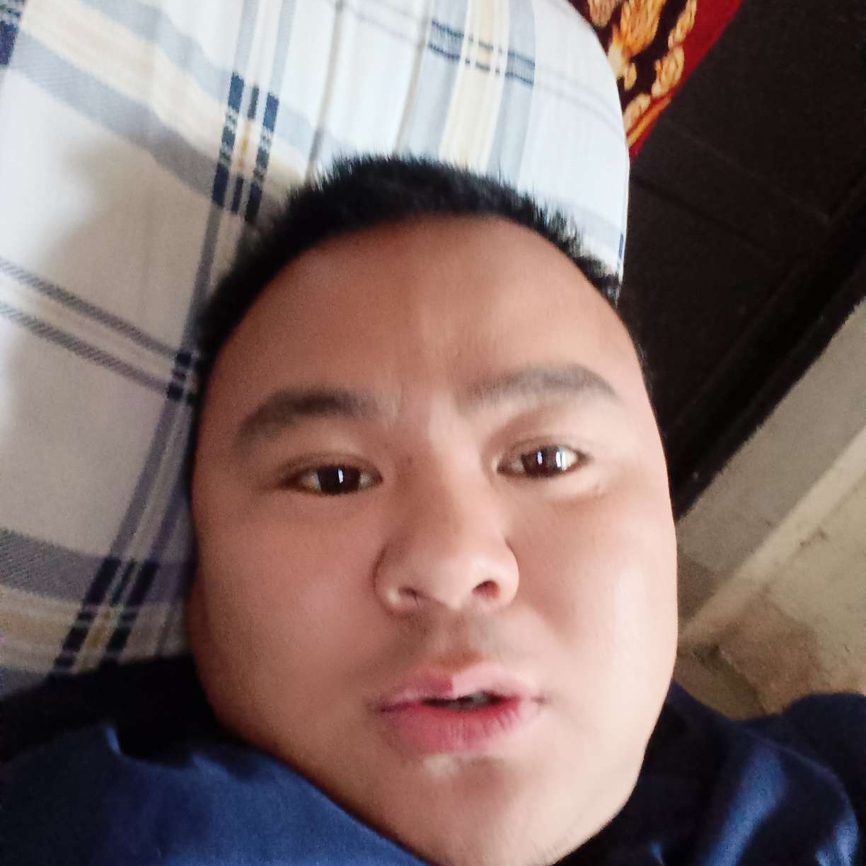 小甜瓜的现实的照片