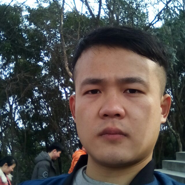 垂直安的照片