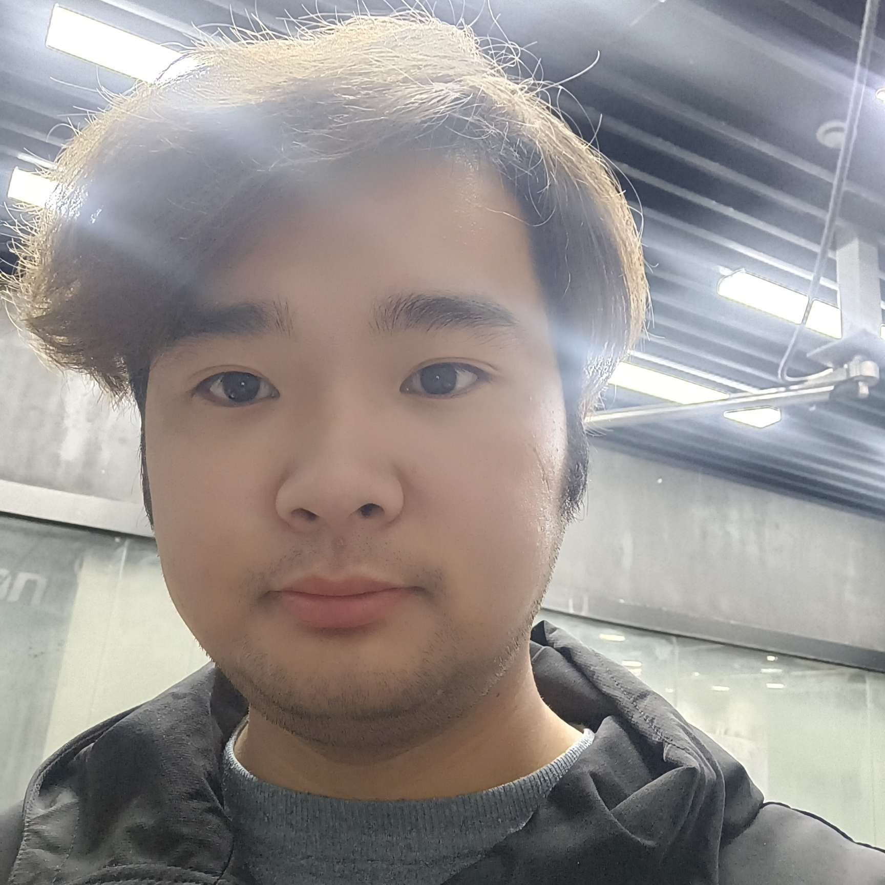 沉默的小猫咪的照片