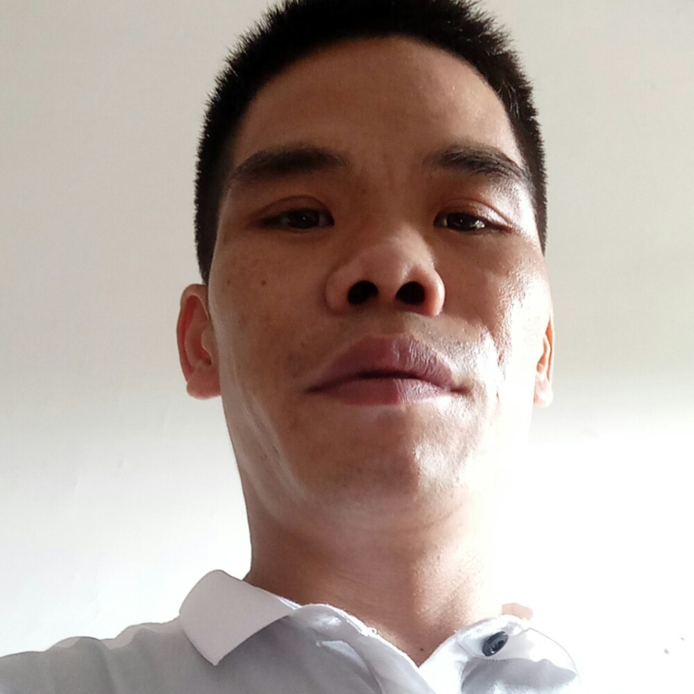 鸵鸟相许优雅的照片
