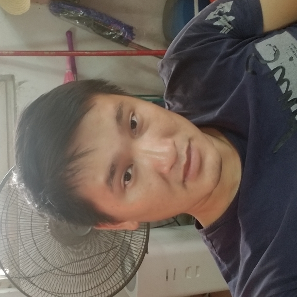 太阳挽手完美的照片