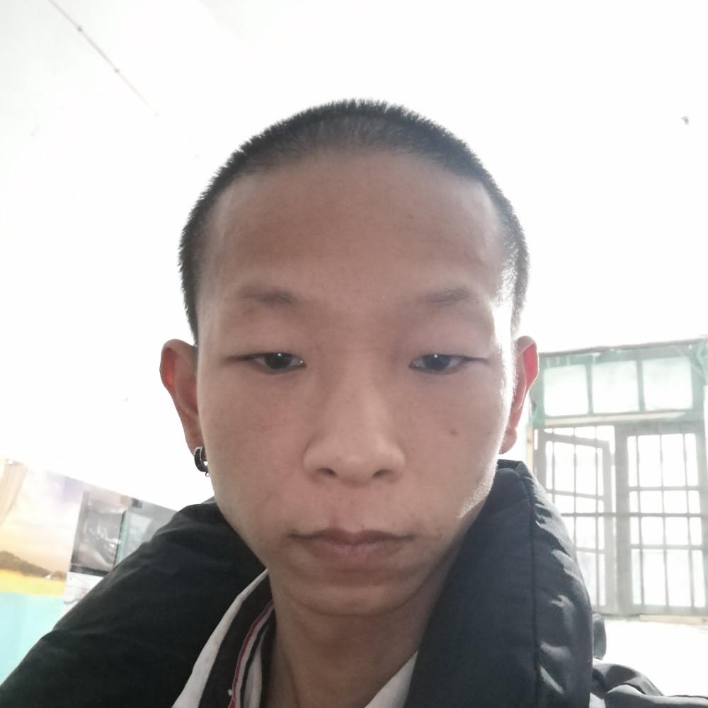 认真迎惊鸿的照片