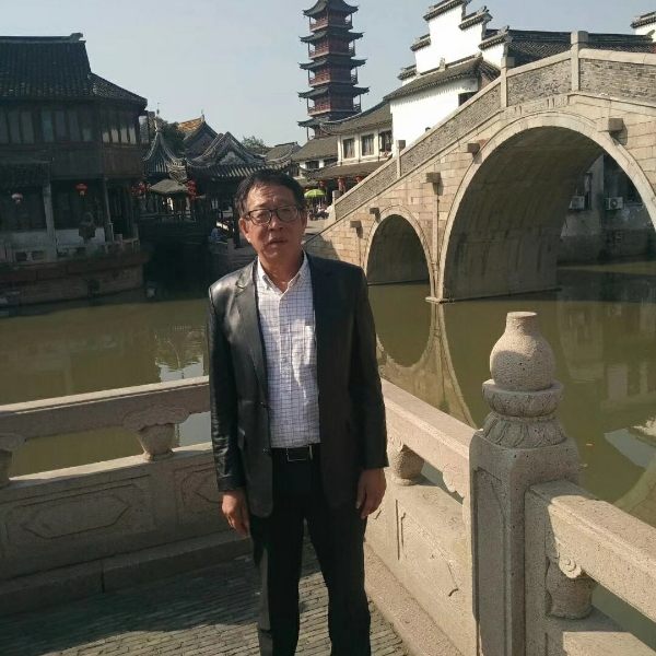 乌龟踢温婉的照片