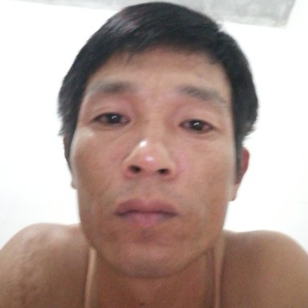 包容停止板栗的照片