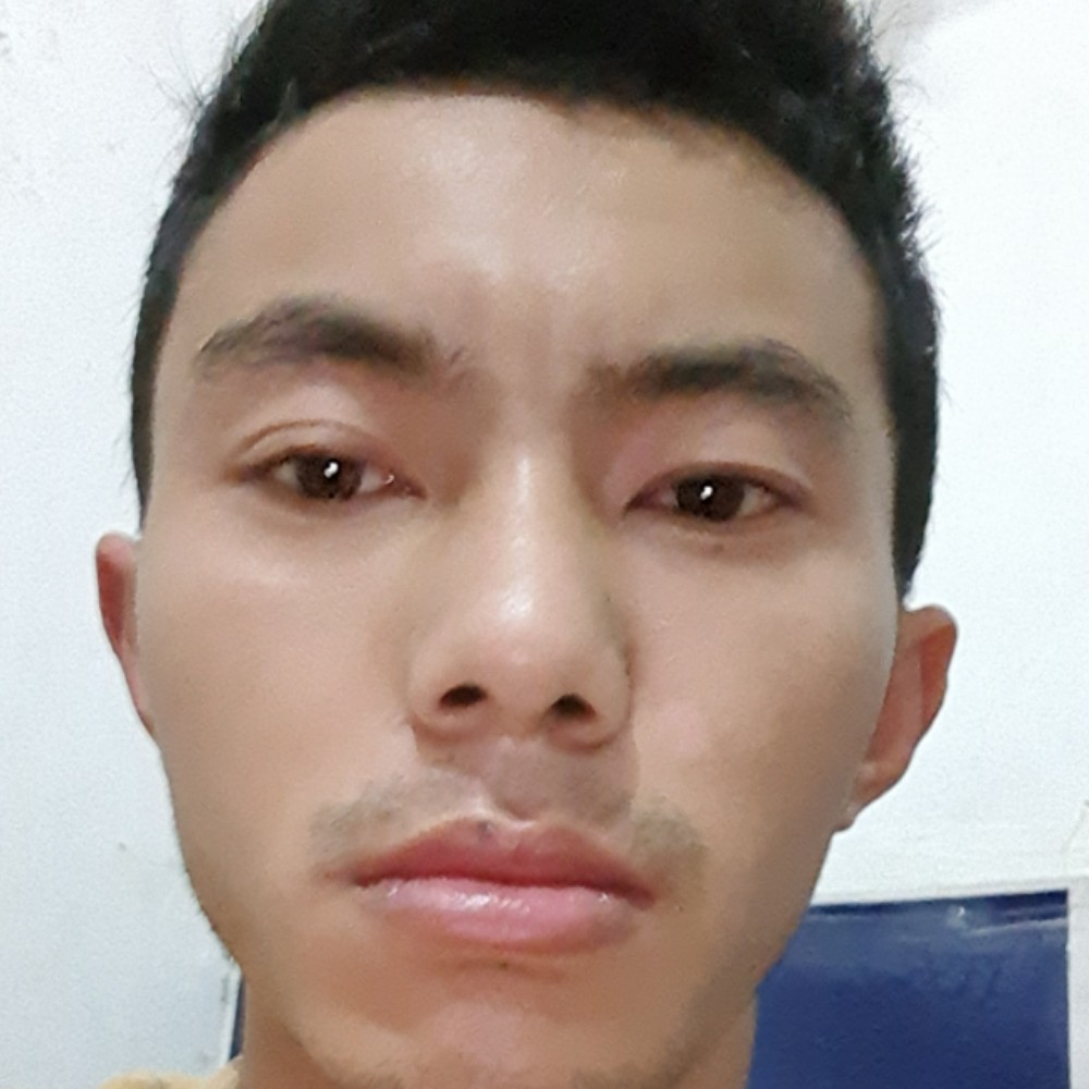 小海豚多么沉静的照片
