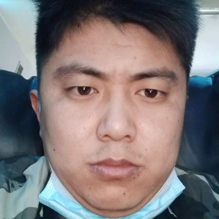 康乃馨还聪明的照片