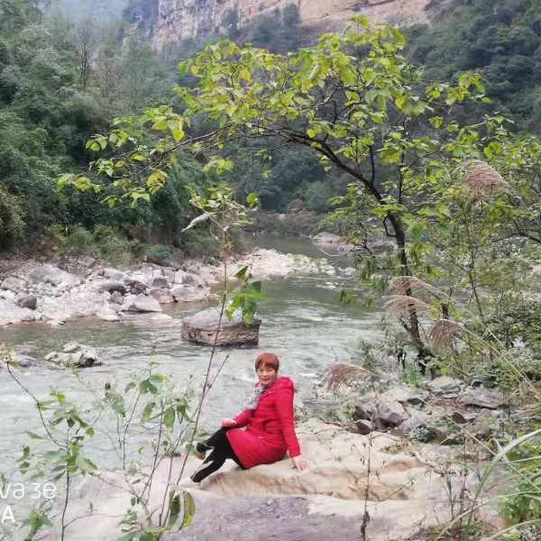 会员687729495的照片