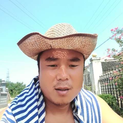 酷炫笑蜜蜂的照片