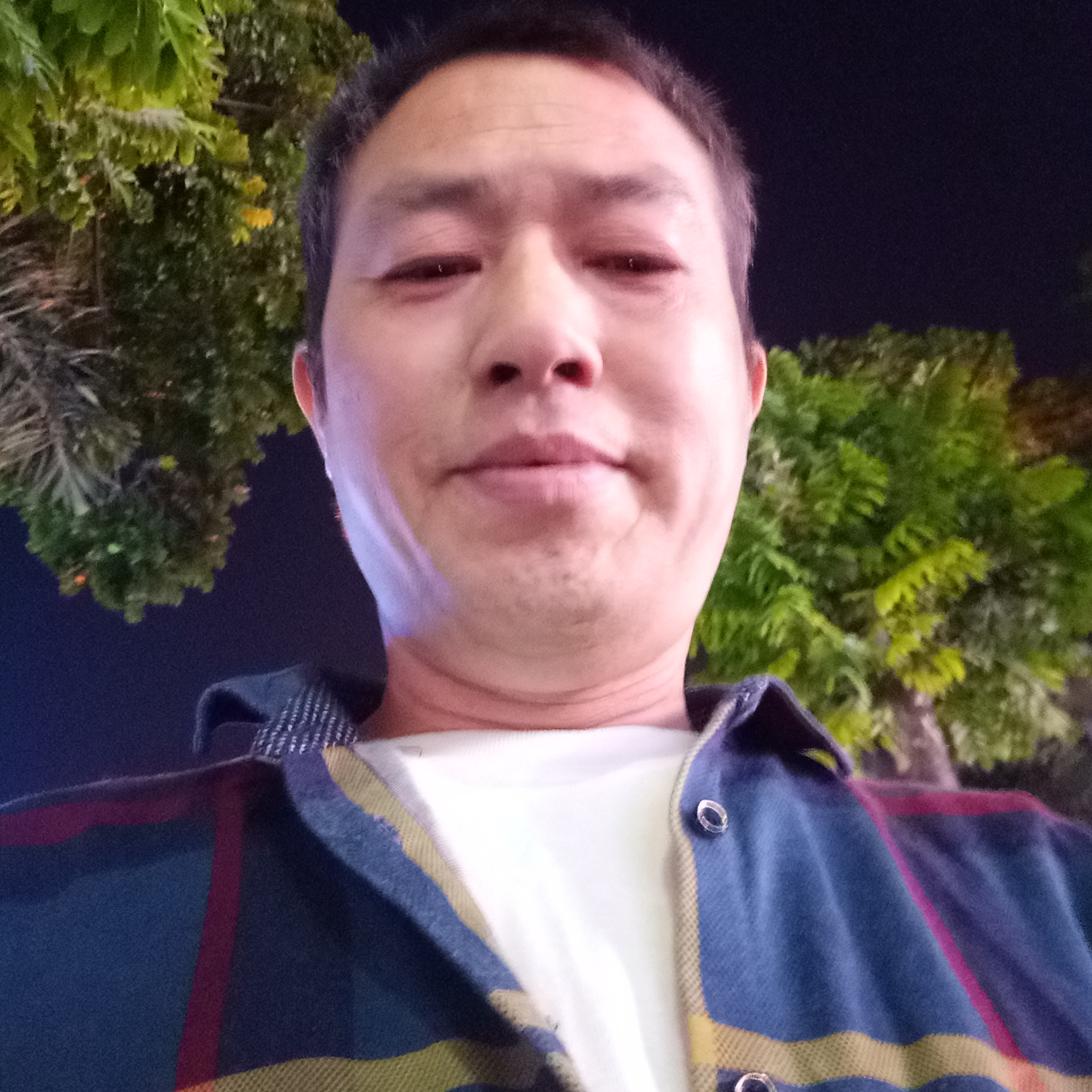 坦率泪了绿茶75的照片