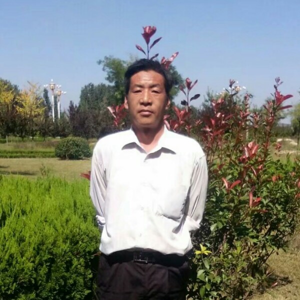 香蕉演变黑裤的照片